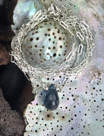 Teal Apatite Faceted Briolette Sterling Silver Necklace